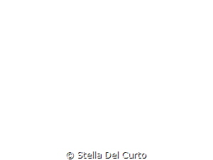 - by Stella Del Curto 